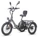 FAFREES F20 Mate Electric Tricycle 48V 23.45Ah Battery 500W 20 Inch Tires With Mirror And Rear Basket_desvips.com