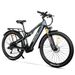 Heda TX TX19 Electric Mountain Bike,48V 19.2Ah Battery, 27-Speed_desvips.com