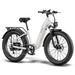 FAFREES F26 ROVER Electric Bike 48V 20AH Battery 250W Motor_desvips.com