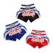 Authentic Muay Thai Shorts Patchwork Boxing Pants ONE Competition Shorts MMA Training Clothes Trend_desvips.com