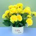 Carnation Potted Plants, Artificial Silk Flowers, Simulated Bouquets, Decorations For Teacher's Bedroom, Mother's Living_desvips.com
