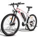 Fafrees 26Hailong One Electric Mountain Bike, 36V 13.5Ah Battery, 21-Speed_desvips.com
