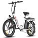 Fafrees F20+ Folding Electric Bike, 250W Motor, 36V 20Ah Battery, 20*3.0 Inch Tires_desvips.com