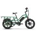 JOBOBIKE Transer Electric Cargo Bike For Family,48V 15Ah Battery_desvips.com