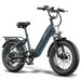 FAFREES F20 ROVER All-terrain Electric Bike With 48V 15AH Battery_desvips.com