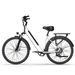 URLIFE E26 Adult E-bike 250W 36V13AH Battery City Commuter Electric Bike 26 Inch Tires Electric Bicycle_desvips.com