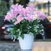 Lily Artificial Set For Dining Table And Living Room Decoration, Plastic Fake Flower Arrangement, Silk Bouquet Ornament,_desvips.com
