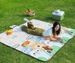 Camping Thickened Moisture-Proof Outdoor Grass Mat Widened Portable Picnic Waterproof Spring Outing Ins Style Cushion_desvips.com
