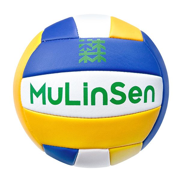 Sanfan Volleyball High Entrance Exam Training, Specialized Competitions, Education Classes, Primary Secondary School_desvips.com