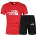 Summer New Set Printed Mesh T-Shirt Men's Casual Loose Round Neck Half Sports Short Sleeve Top_desvips.com