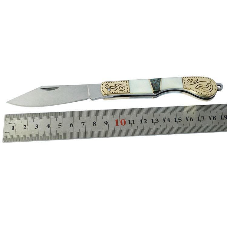 Stainless Steel Multifunctional Fruit Exquisite Shell Everyday Peeling Pocket Knife, Package Opening Folding Knife_desvips.com
