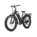JOBOBIKE ROBIN PRO ST-F33 Electric Bike For Adults With 48V 17.5Ah Battery_desvips.com