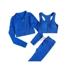 Yoga Apparel_desvips