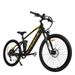 BAOLUJIE S9 Full Suspension Mountain Electric Bike, 48V 14Ah Removable Battery_desvips.com