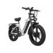 Nathaniel SYR08 Dual Motor Electric Bike – 48V 20Ah Removable Battery_desvips.com
