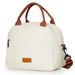 1pcs Waterproof Lunch Bags Thermal Cooler Office Meal Outdoor Camping Picnic Insulated Durable Handbag Carry Storage Box_desvips.com