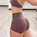 Alphalete Women's Seamless Yoga Pants High Elastic Shorts Quick Drying Three Piece Set Summer Outdoor Running Sports Knitted_desvips.com