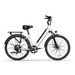 URLIFE E26 City Electric Bike 250W Motor 48V 10.4Ah Battery_desvips.com