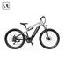 DUOTTS E29 Electric Bicycle,250W Motor 48V 13.5Ah Battery,27.5"Tire, Hydraulic Disc Brakes_desvips.com