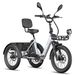 FAFREES F20 Mate II Electric Tricycle, 48V 21Ah Battery,Hydraulic Disc Brakes,Front & Rear Baskets_desvips.com