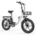 ALLGOBIKE AC20 Foldable Electric Bike,48V 20Ah Battery_desvips.com