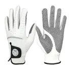 Golf Gloves_desvips