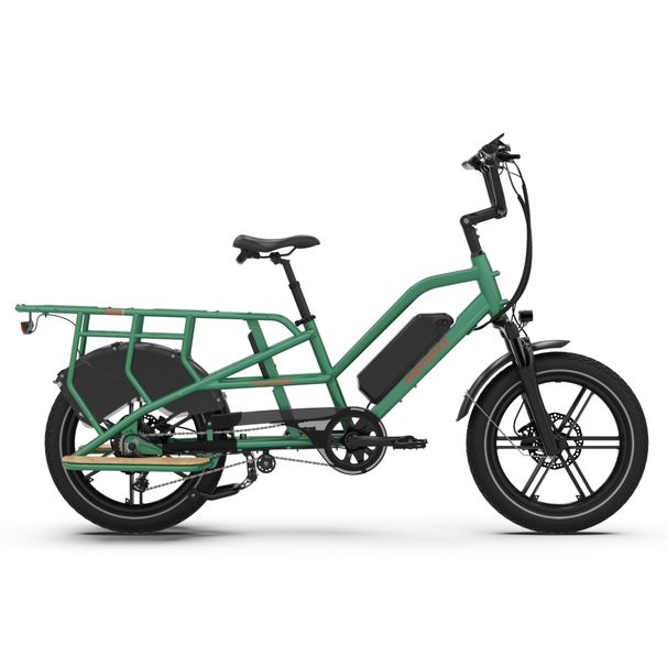 JOBOBIKE Transer Electric Cargo Bike For Family,48V 15Ah Battery_desvips.com