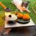 Portable Compact Stainless Steel Camping Table, Foldable Ultralight Desk For Picnic, BBQ, Tea & Outdoor Activities_desvips.com