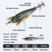 LEYDUN Luminous Eye Horizontal Jig Wood Squid BKK Hook 14pcs/Set Lures Cuttlefish Shrimp Baits_desvips.com