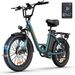URLIFE E20 Electric Bicycle For Adults 1000W Motor E-Bike 48V 13AH 20 Inch Tires City Commuter Electric Bike_desvips.com