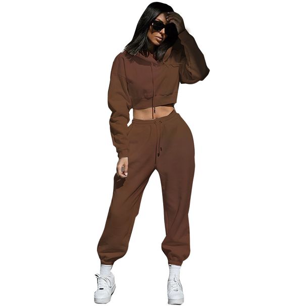 Women's Active Sets Plus Velvet Sweater Suit Women's Large Size Hooded Long Sleeve Women's Sports Leisure Two Piece Suit_desvips.com