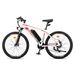 Fafrees 26Hailong One Electric Mountain Bike, 36V 13.5Ah Battery, 21-Speed_desvips.com