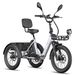 FAFREES F20 Mate II Electric Tricycle, 48V 21Ah Battery,Hydraulic Disc Brakes,Front & Rear Baskets_desvips.com