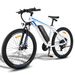 Fafrees F28 MT 250W 27.5" Electric Mountain Bike 522Wh_desvips.com