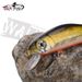 WALK FISH 5.5cm 4.5g 3D Eyes Floating Minnow Lure Plastic Pesca Artificial Jig Wobblers Crankbait Fishing Hard Baits Sea Bass_desvips.com