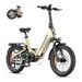 ENGWE L20 3.0 Pro Folding E-Bike 20'' 250W 100Nm Mid-drive Motor Electric Bicycle With 48 V 15 Ah Battery_desvips.com