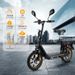 TWOFISH M5 Elite-E Electric Scooter With Seat & Rear Basket, 48V 13Ah Battery, 14" Tires_desvips.com