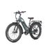 JOBOBIKE ROBIN PRO ST-F33 Electric Bike For Adults With 48V 17.5Ah Battery_desvips.com