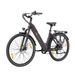 TTGO C3 SE City Electric Bike, 250W Motor 52Nm Torque, 36V 18AH Battery_desvips.com