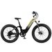 Cyrusher Roam Step-Through EBike – 250W Motor, 52V 15.6Ah Battery_desvips.com