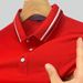 Men's Summer New Business Polo Shirt Turn-Down Collar Ice Silk Quick-Dry Short Sleeve T-Shirt Men_desvips.com