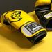 PU LEATHER BOXING GLOVES For Men And Women, PRETORIAN TIWNS MUAY THAI, Training Box, 5 Colors, 10-16 Oz_desvips.com
