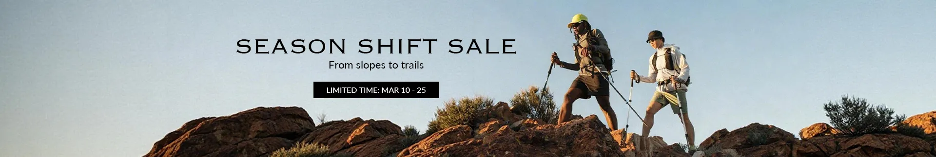 Desvips_coupon_banner