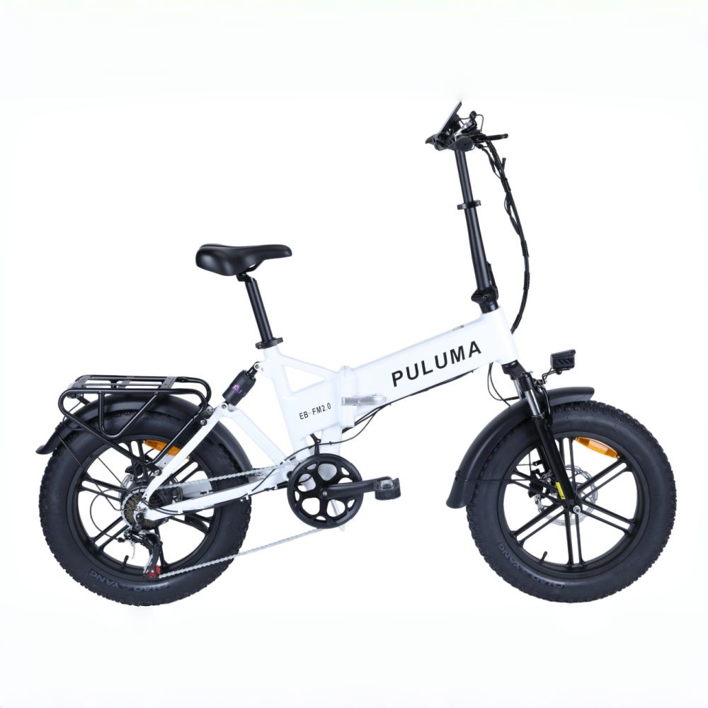 PULUMA EB FM-2.0 Foldable E-bike 48V 15Ah Removable Battery 25km/h 20*4.0 Inch Fat Tire Dual Suspension Electric Bicycle_desvips.com