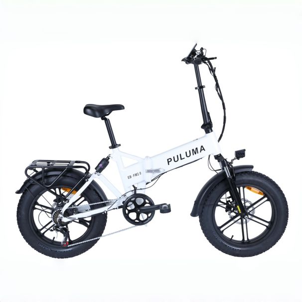 PULUMA EB FM-2.0 Foldable E-bike 48V 15Ah Removable Battery 25km/h 20*4.0 Inch Fat Tire Dual Suspension Electric Bicycle_desvips.com