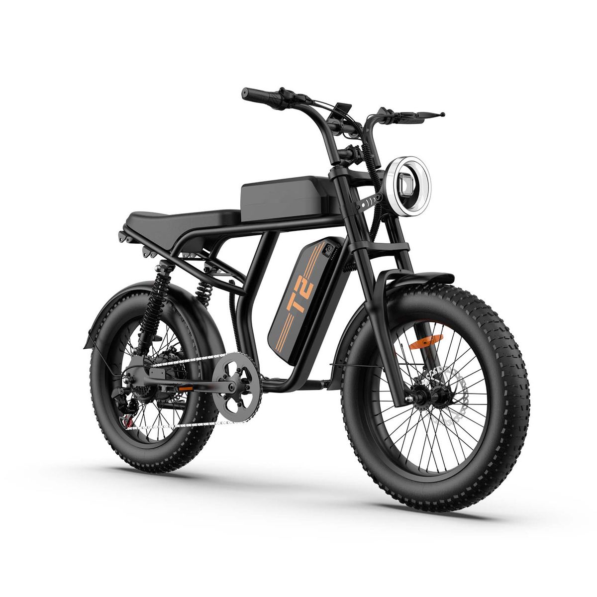 URLIFE T2 Off Road Electric Bike 250W Motor 48V 15.6Ah Battery_desvips.com