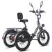 FAFREES F20 Mate Electric Tricycle 48V 23.45Ah Battery 500W 20 Inch Tires With Mirror And Rear Basket_desvips.com
