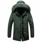 Parkas_desvips