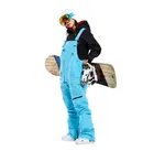 Skiing & Snowboarding_desvips