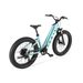 Cyrusher Aura All-Terrain Electric Bike – 52V 250W Motor With 95Nm Torque, 780Wh Battery_desvips.com